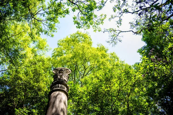 Dharmachakra Sul Pilastro Ashoka Nella Foresta Del Tempio Wat Umong — Foto Stock