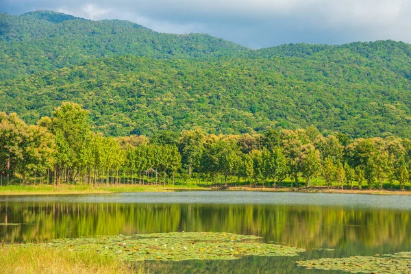 Imagem Dia Ensolarado Beleza Lago Com Hora Verde Dia Montanha — Fotografia de Stock