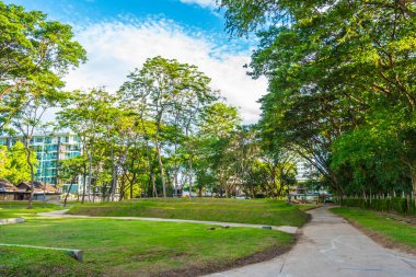 Chalernprated halk parkı, oturacak ve dinlenecek bir sürü otlağı olan yeni popüler park, Chalernprated Yolu, Chang Khlan, Chiang Mai, Tayland.