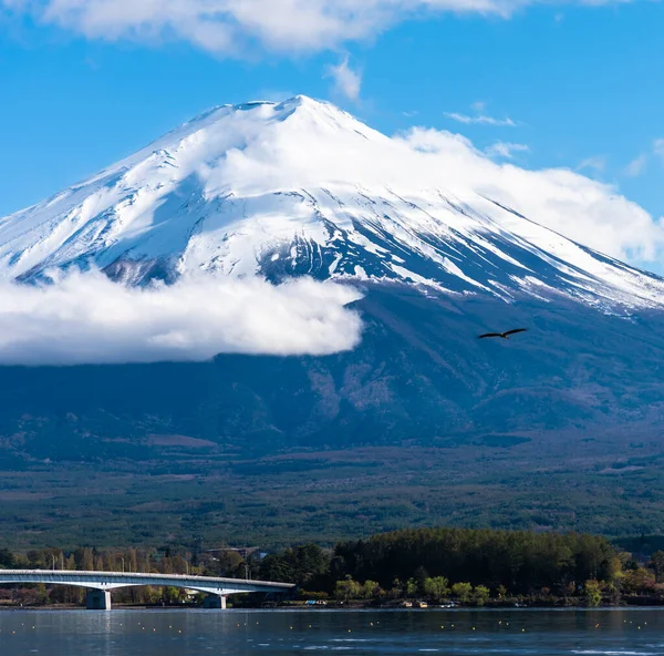 Image Wild Eagle Mount Fuji Lake Kawaguchi Cloudy Sky Evening — Stock Photo, Image