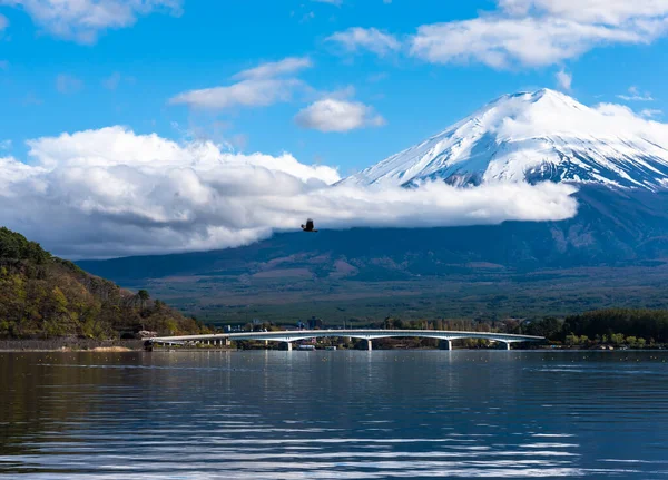 Image Wild Eagle Mount Fuji Lake Kawaguchi Cloudy Sky Evening — Stock Photo, Image