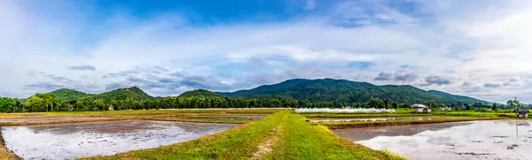 Imagen Panorámica Belleza Día Soleado Campo Arroz Con Cielo Montaña —  Fotos de Stock