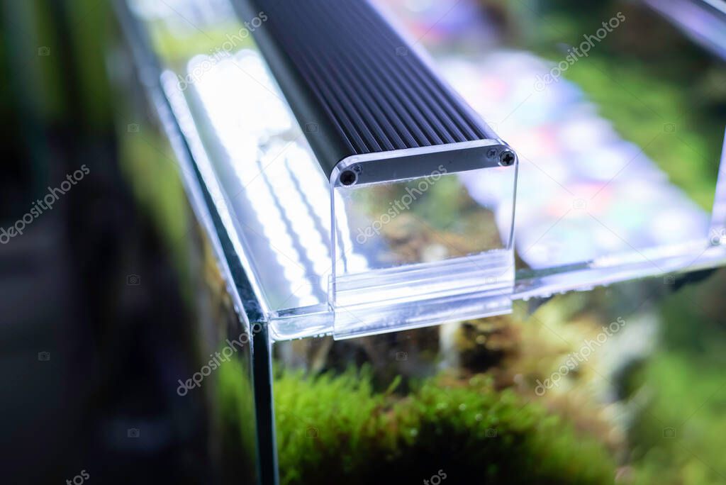 image of the glass aquarium tank with water plants and has a bright LED lamp on top.