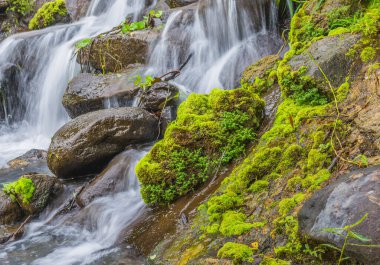 Şelale günü, arka plan için kayanın üzerindeki yosunların uzun pozu..