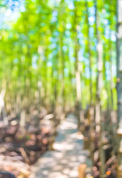 Immagine Foresta Mangrovie Sfocata Con Passerella Durante Giorno Uso Del — Foto Stock