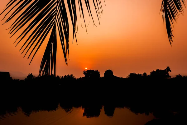 Silhueta Tiro Imagem Coqueiro Pôr Sol Céu Fundo — Fotografia de Stock