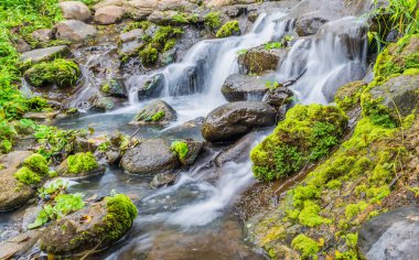 Şelale günü, arka plan için kayanın üzerindeki yosunların uzun pozu..