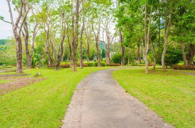 Yeşil bahçede yürümenin görüntüsü
