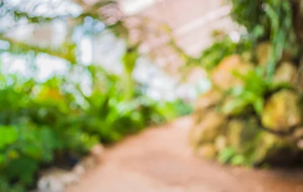 Image Floue Abstraite Passerelle Vide Vers Jardin Vert Pour Une — Photo