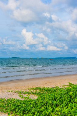 Tropik plaj ve okyanus manzarası