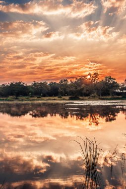 Gölü ve çimlerin dikey HDR görüntüsü ve sabah saatinde gün doğumu.