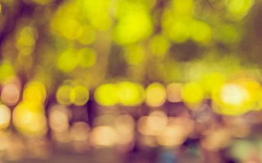 Bokeh 'in arka plan kullanımı için gündüz vakti bahçedeki yürüyüş yolunun soyut bulanık görüntüsü. (Klasik ton))