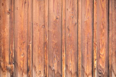 Arka plan için eski Japon tarzı çam ağacından duvar resmi.