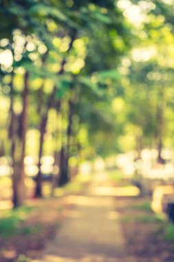 Arka plan kullanımı için bokeh ile yeşil bahçede yolun dikey soyut bulanık görüntüsü. (Klasik ton))