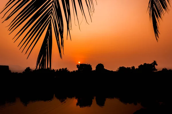 Silueta Záběr Obraz Kokosového Stromu Západu Slunce Oblohy Pozadí — Stock fotografie