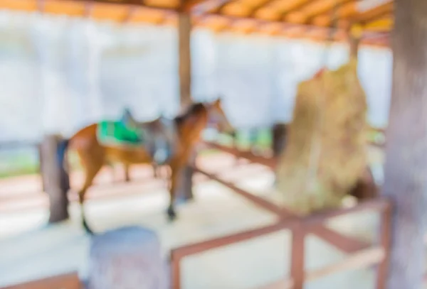 Imagen Caballo Borroso Puesto Para Uso Fondo —  Fotos de Stock