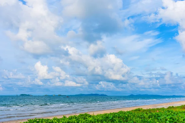 Imagen Hermoso Mar Cielo Azul Con Pie Cabra Verde Enredadera —  Fotos de Stock