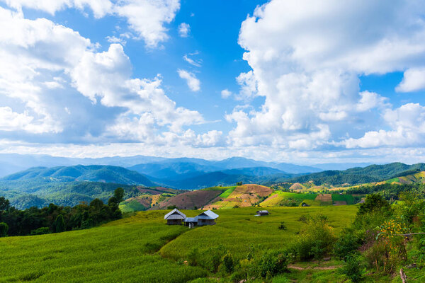 Image of beauty sunny day on the terraced golden rice field with sky and mountain in background at Baan Pa Bong Pieng village in Mae Chaem district Chiang Mai,Thailand.