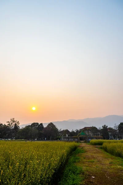 Verticale Afbeelding Van Big Mountain Doi Suthep Met Gele Pummelo — Stockfoto