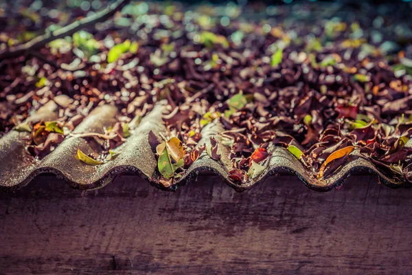 雨の後のセメント瓦の屋根と葉のヴィンテージトーンイメージ — ストック写真