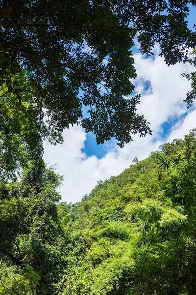 Imagen Del Bosque Tropical Montaña Verde Cielo Nublado Durante Día — Foto de Stock