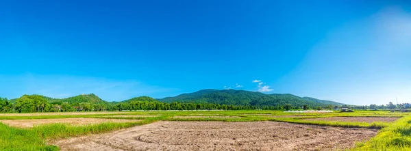 Hermoso Día Soleado Campo Vacío Con Cielo Azul Montaña Fondo —  Fotos de Stock