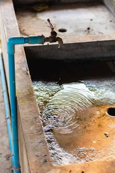 Vertical Alignment Image Leaking Water Faucets Flowing Basin Showing Loss — Stock Photo, Image