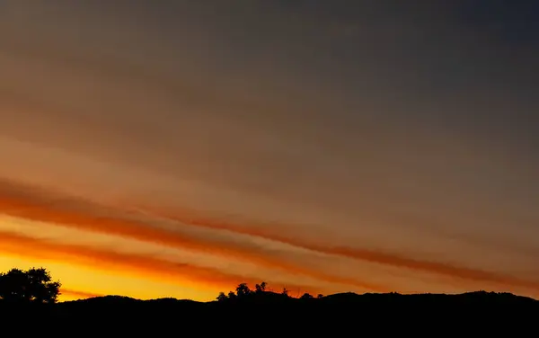 Silhueta Tiro Imagem Árvore Céu Pôr Sol Fundo — Fotografia de Stock