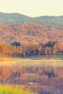Güzelliğin dikey görüntüsü. Gölde güneşli bir gün ve kış mevsiminde sabah vakti dağda..