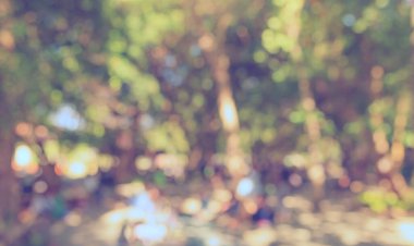 Bokeh 'in arka plan kullanımı için gündüz vakti bahçedeki yürüyüş yolunun soyut bulanık görüntüsü. (Klasik ton))