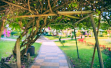 Arkaplan kullanımı için yeşil bahçede yürürken kullanılan klasik ton soyut bulanık görüntü.