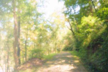 Arkaplan kullanımı için yeşil bahçeye giden boş yürüyüş yolunun soyut bulanık görüntüsü. (Klasik ton))