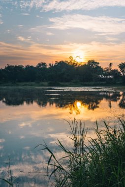 Sabah vakti gündoğumuyla birlikte gölün ve otun klasik ton görüntüsü. (dikey)
