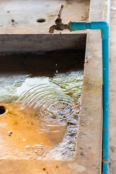 Vertical Alignment Image Leaking Water Faucets Flowing Basin Showing Loss — Stock Photo, Image