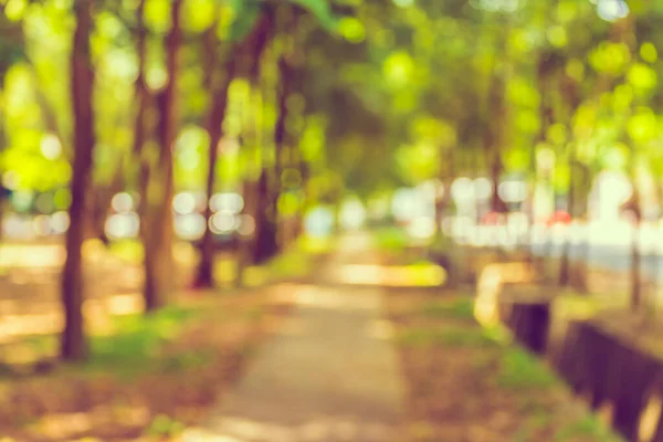 带Bokeh的绿色花园中道路的模糊图像 — 图库照片