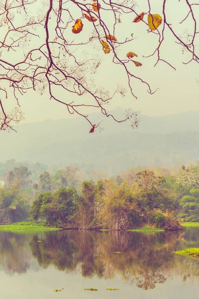 Vintage Tone Image Lake Fog Morning Time Vertical — Stock Photo, Image