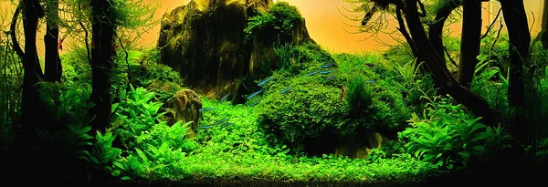 nature style aquarium tank with a variety of aquatic plants inside.