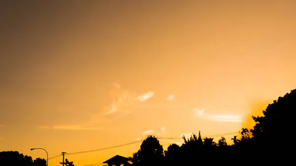 Arkaplanda Ağaç Günbatımı Görüntüsü — Stok fotoğraf
