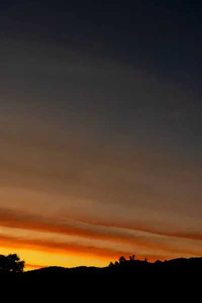 Κάθετη Σιλουέτα Τραβηγμένη Εικόνα Του Ουρανού Δέντρο Και Ηλιοβασίλεμα Στο — Φωτογραφία Αρχείου