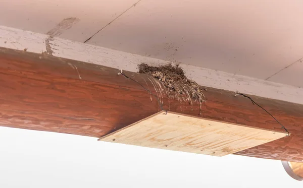 Obraz Špinavého Ptačího Hnízda Stěně Dřevěným Podnosem Ochranu Ptačího Hovna — Stock fotografie