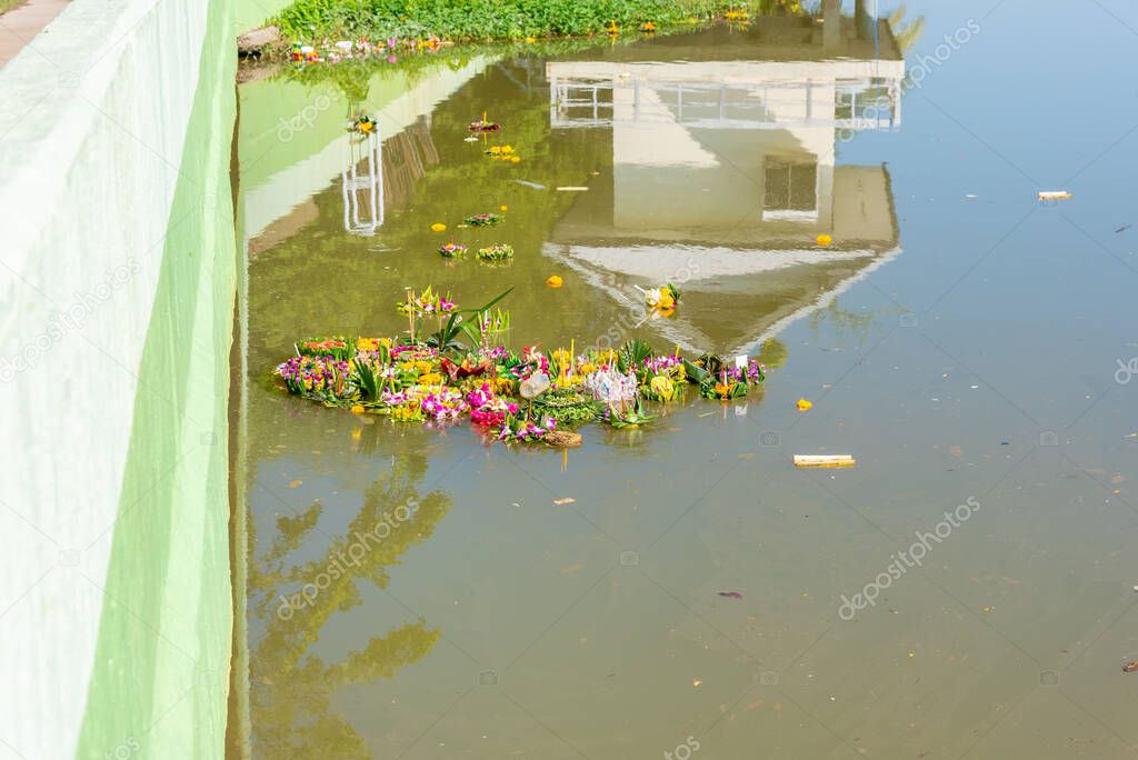 image of organic waste in ping river from Loi Krathong festival (a small container made of leaves which can be floated on water)