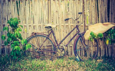 Yeşil bahçedeki eski bisiklet parkının klasik ton görüntüsü .