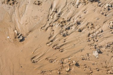 Arkaplan dokusu için ıslak kum ve kaya görüntüsü.