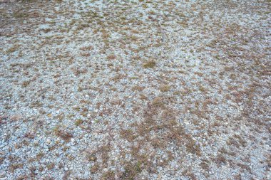 arkaplan kullanımı için kuru arazi ve ot dokusu görüntüsü.