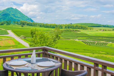 Boon Rawd Çiftliği, Chiang Rai Tayland 'daki çay sahasında gündüz vakti romantik bir akşam yemeği..