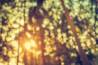 Soyut Bokeh ağaç yeşili arkaplanının klasik ton bulanık görüntüsü.