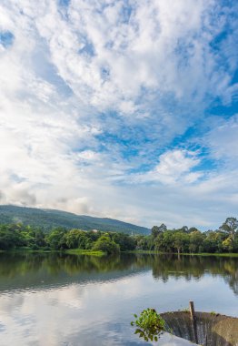 Akşam vakti Tayland 'daki Chiang Mai Üniversitesi' ndeki ang kaew 'de mavi gökyüzü ve dökülen yolun görüntüsü. (dikey)