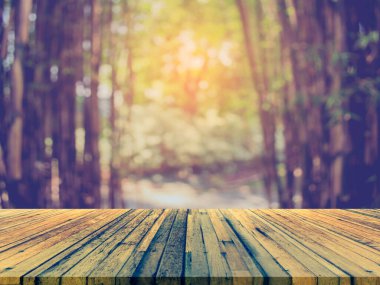 Ahşap masa, yeşil bambu ormanı ve çatısının klasik ton görüntüsü.