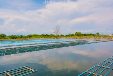 Canlı kabuklu yengeç çiftliğinin gündüz görüntüsü.