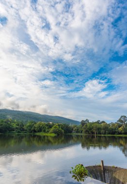 Akşam vakti Tayland 'daki Chiang Mai Üniversitesi' ndeki ang kaew 'de mavi gökyüzü ve dökülen yolun görüntüsü. (dikey)